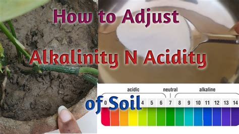 The Secret to Thriving in Alkaline Soil: Discover the Magic